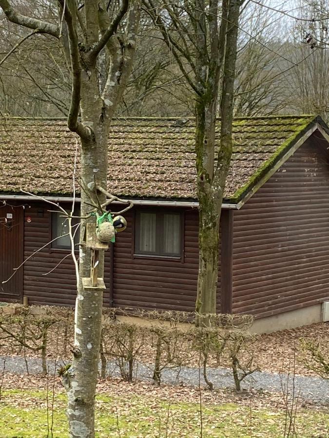 Chalet234 in La Boverie Rendeux Esterno foto